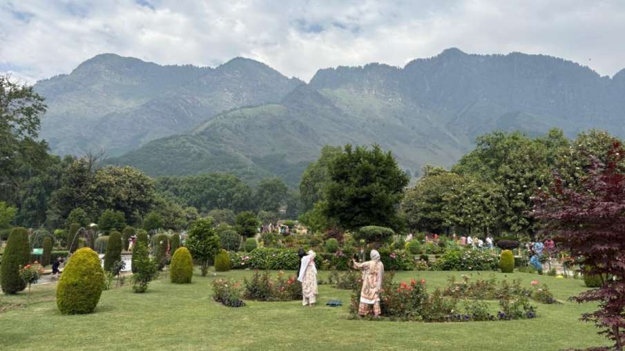 गुलज़ार हो रही है घाटी।