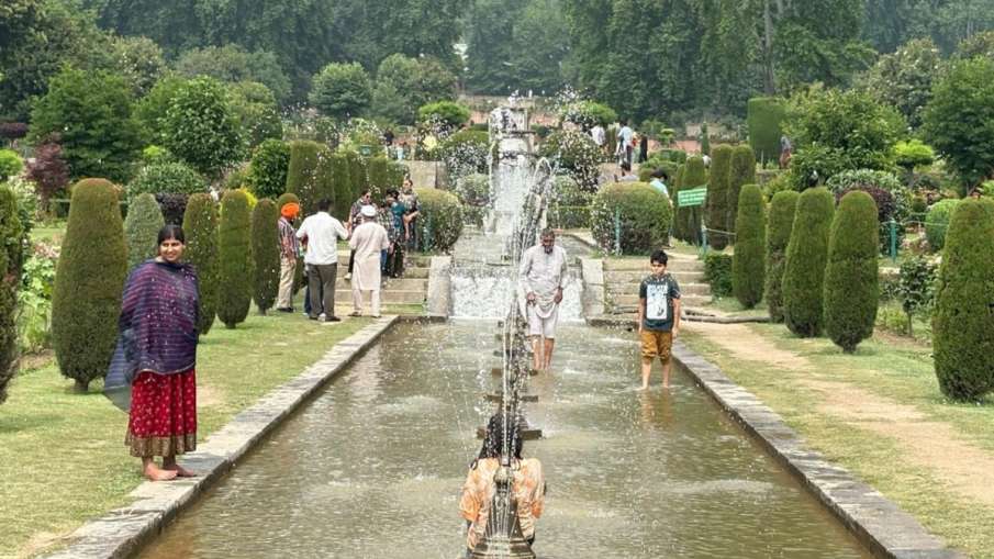 बिना डर के पहुंच रहे पर्यटक।