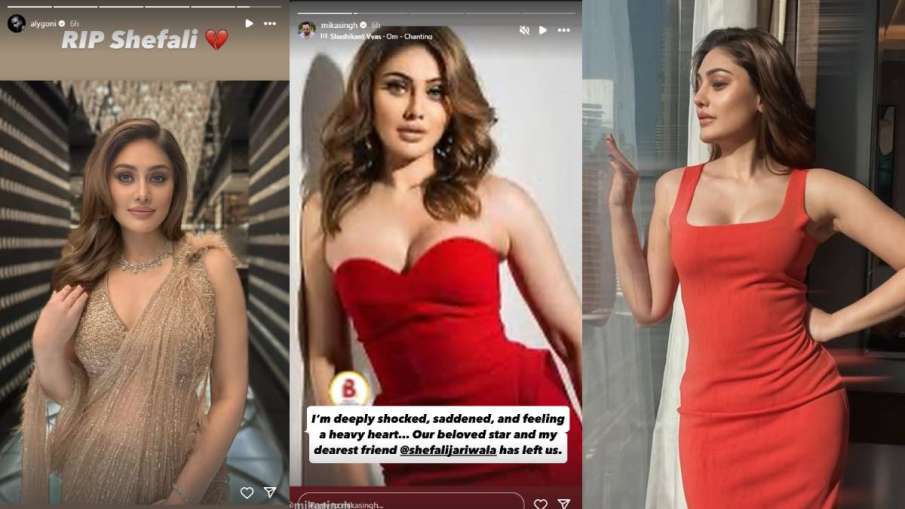 shefali Jariwala