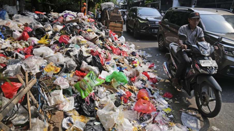 plastic bag pollution, plastic bag free day, plastic waste facts
