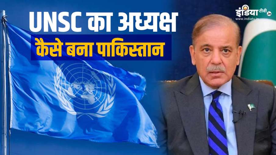 पाकिस्तान बना यूएनएससी का अध्यक्ष