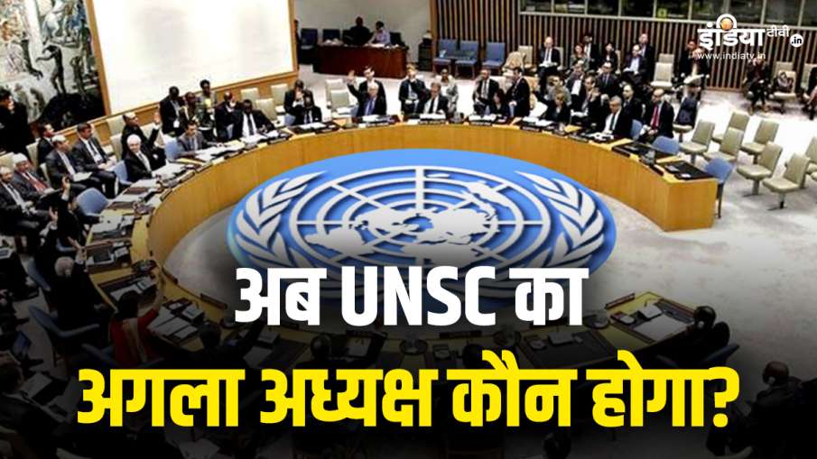 पाकिस्तान बना यूएनएससी का अध्यक्ष