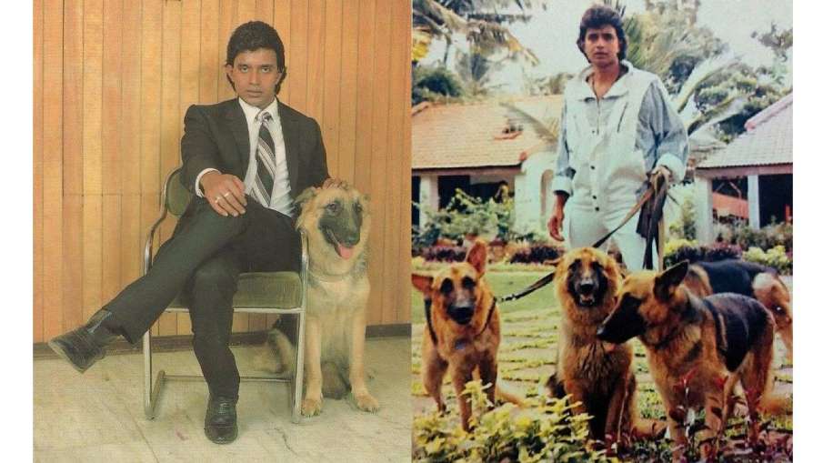 mithun chakraborty