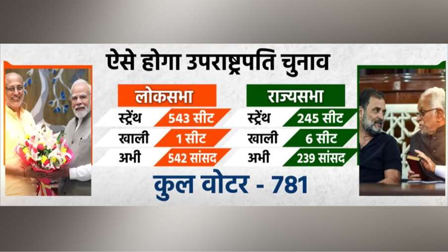副總統選舉