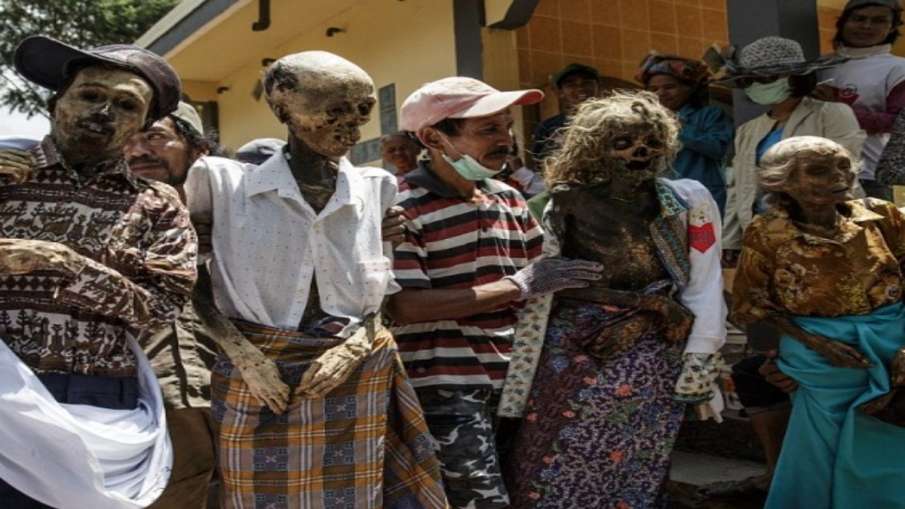 टोराजा जनजाति की अनोखी परंपरा टोराजा जनजाति की अनोखी परंपरा