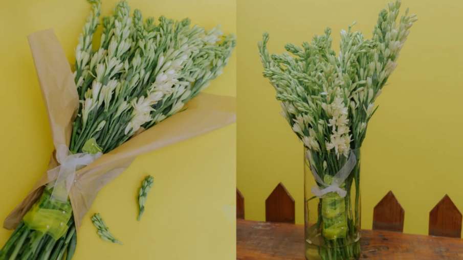 Tuberose