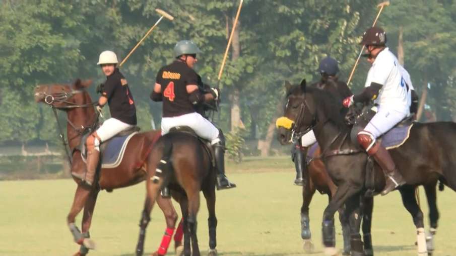 Habanos Cavalry Gold cup