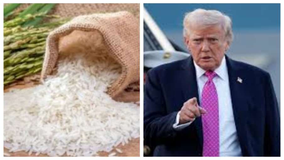 ट्रंप ने भारत के चावल पर टैरिफ लगाने की दी धमकी