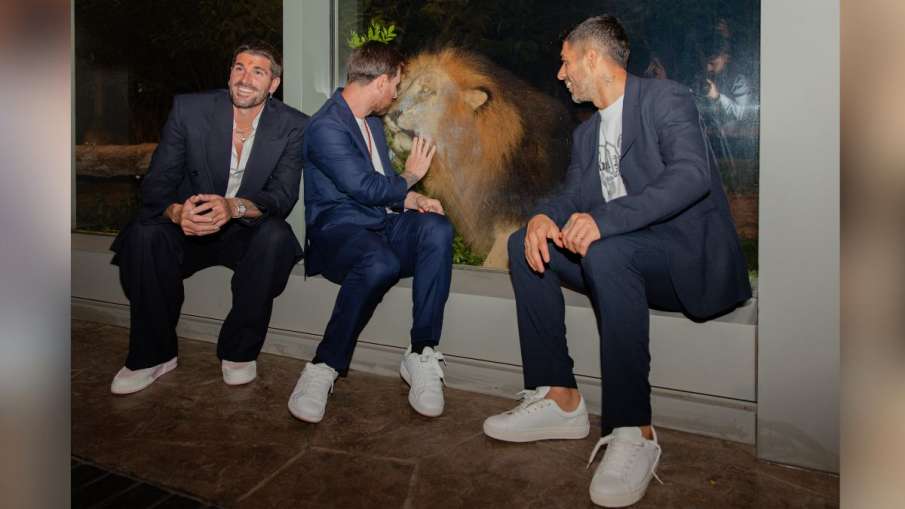 वंतारा में शेर के साथ फुटबॉलर मेसी। वंतारा में शेर के साथ फुटबॉलर मेसी।