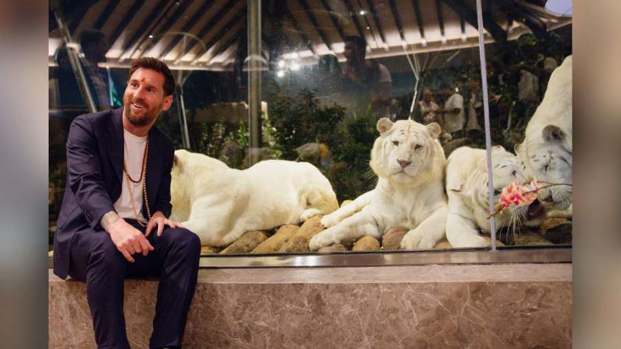 वंतारा में जानवरों के साथ फुटबॉलर मेसी की तस्वीर। वंतारा में जानवरों के साथ फुटबॉलर मेसी की तस्वीर।