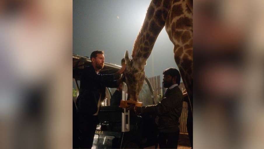 मेसी की जिराफ के साथ तस्वीर। मेसी की जिराफ के साथ तस्वीर।