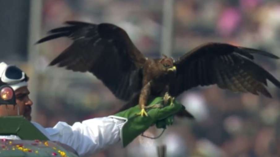 काली पतंग