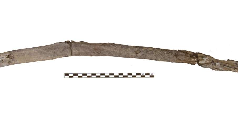 Greece Oldest Wooden Tools Greece Oldest Wooden Tools