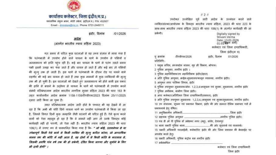 Indore chinese kite string