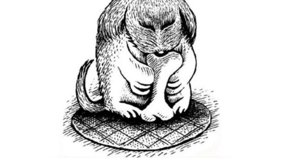 Optical Illusion, Optical Illusion Test, Optical Illusion Eye Test, Viral Optical Illusion, Brain Te