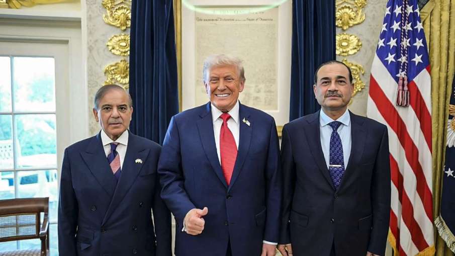 Shehbaz Sharif, Shehbaz Sharif statement, Shehbaz Sharif Begging