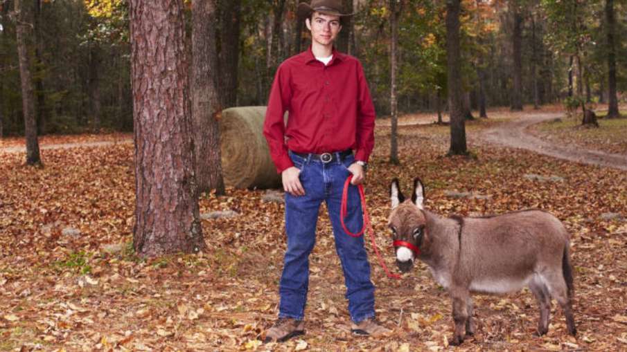 world smallest donkey, KneeHi donkey, Guinness World Records donkey