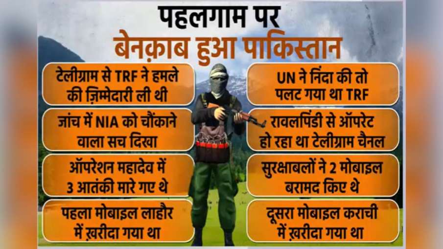 pahalgam attack, pakistan