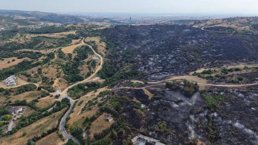 Greece Wildfire, Greece Forest Fire, Thessaloniki Wildfire