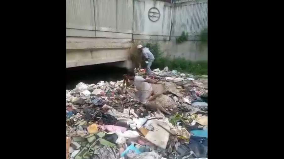 मिथुन को खोजने नाले में उतरे पिता।
