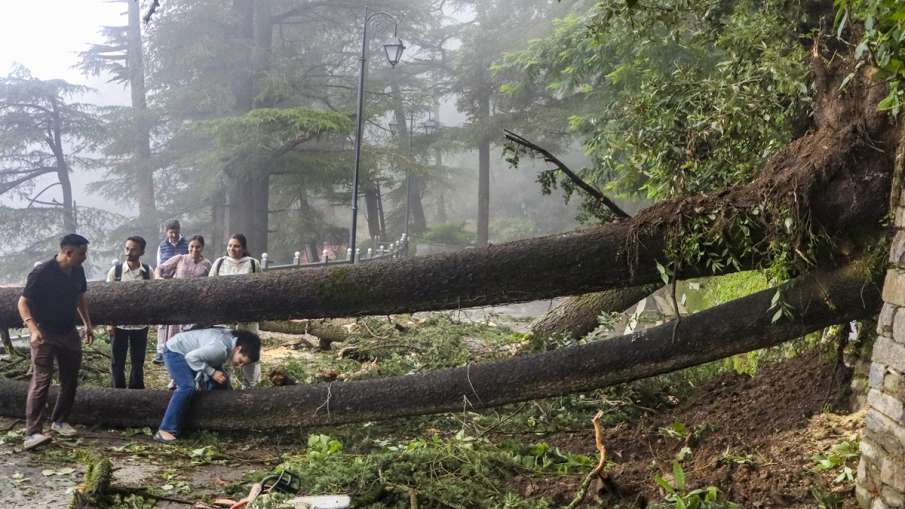 himachal heavy rain
