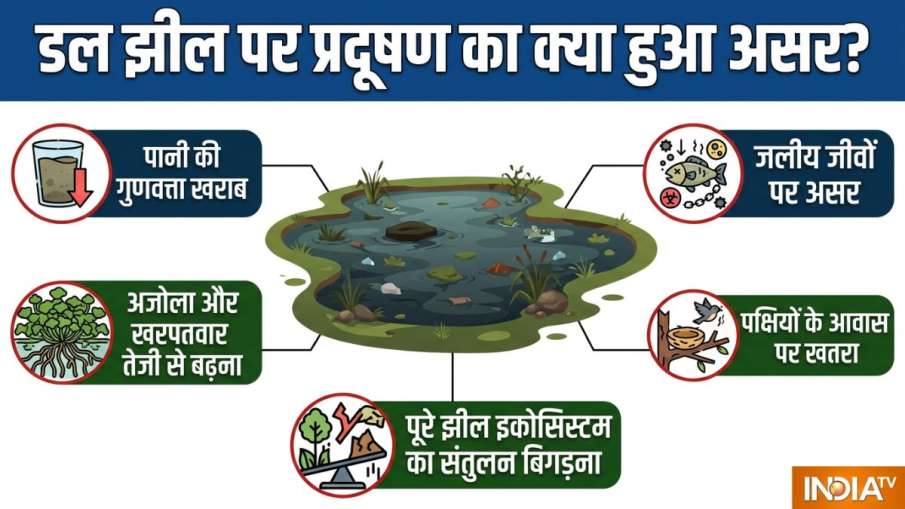 Dal Lake Pollution, Dal Lake Kashmir, Srinagar Sewage Crisis