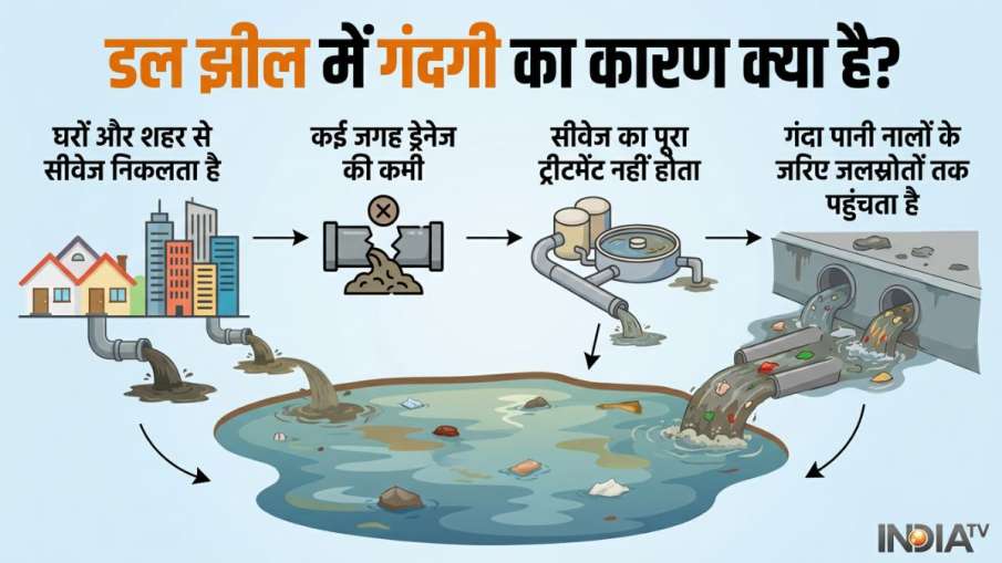 Dal Lake Pollution, Dal Lake Kashmir, Srinagar Sewage Crisis