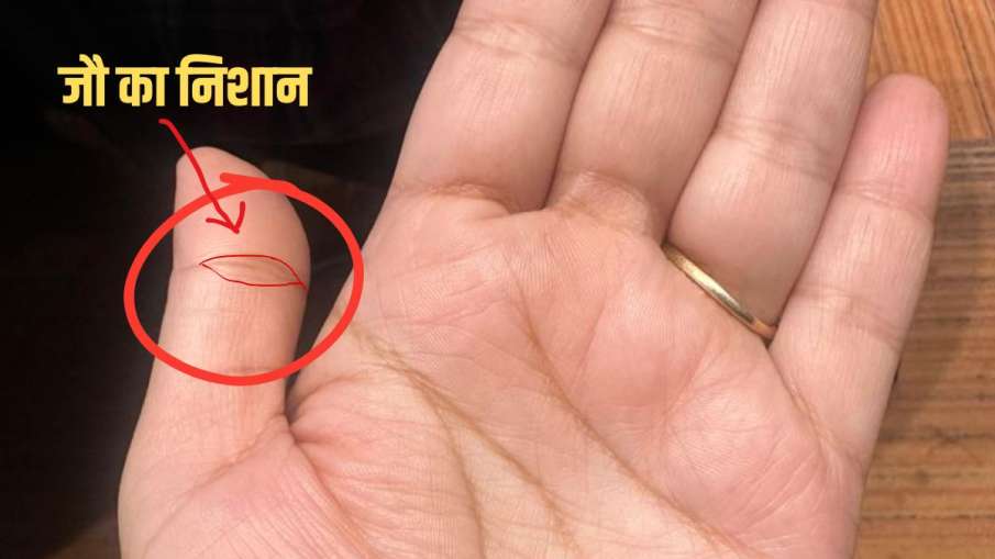 jau ka nishan