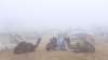 Cold wave conditions continue in North India