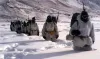 Chinese military expert praises soldiers of India's Steely Hill Brigade- India TV Paisa