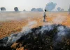 सरकार का पराली जलाने...- India TV Hindi