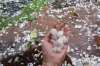 Hailstorm and Rainfall warning- India TV Hindi