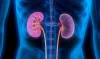 kidney problem - India TV Hindi