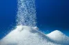 Government permits 20 lakh tons sugar export- India TV Paisa