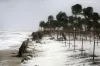 cyclone mekunu- India TV Hindi
