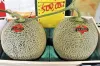 Japan: Pair of premium melons sell for record $29,300 | AP- India TV Paisa