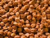 Government procures record 22.58 Lakh tons Chana this year mostly from MP and Rajasthan- India TV Paisa
