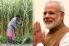 प्रधानमंत्री नरेंद्र मोदी आज करेंगे गन्ना किसानों से चर्चा, पांच राज्यों के किसान होंगे शामिल- India TV Hindi
