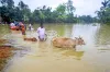 Tripura Flood Situation- India TV Hindi