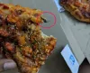 Noida resident accuses that insect found in Dominos Pizza delivered to him- India TV Hindi
