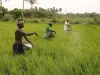 किसान।- India TV Hindi
