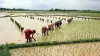 Kharif sowing lagging behind by 55 lakh hectare over last year- India TV Paisa