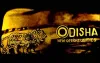 Odisha investment - India TV Hindi