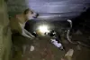 Mother dog fights Cobra snake to save puppies in Bhadrak Odisha | ANI- India TV Hindi