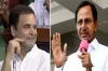 Congress president Rahul Gandhi is biggest buffoon of the...- India TV Hindi