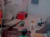 Monkey snatches snake from charmer at Vrindavan temple, Uttar Pradesh- India TV Hindi