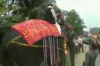 Newly-elected Assam deputy speaker Kripanath Mallah falls off elephant- India TV Hindi