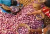 Onion price sore- India TV Paisa