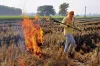 Stubble burning in neighbouring states- India TV Hindi