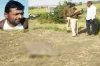 RSS worker killed in Madhya Pradesh's Ratlam, body found in...- India TV Hindi